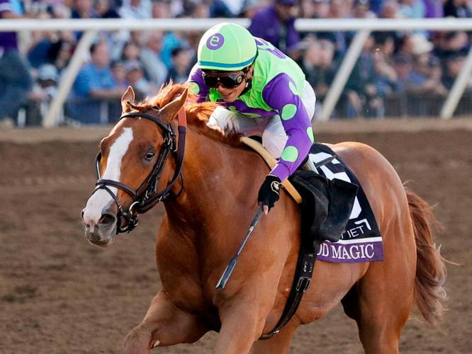 Kentucky Derby 2018 Betting tips from handicapping experts Archive