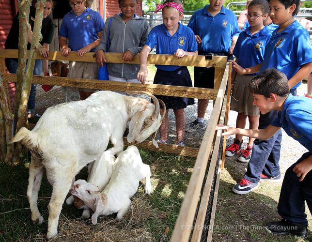 LSU AgCenter hosts AgMagic on the River at Docville Farm | Education ...