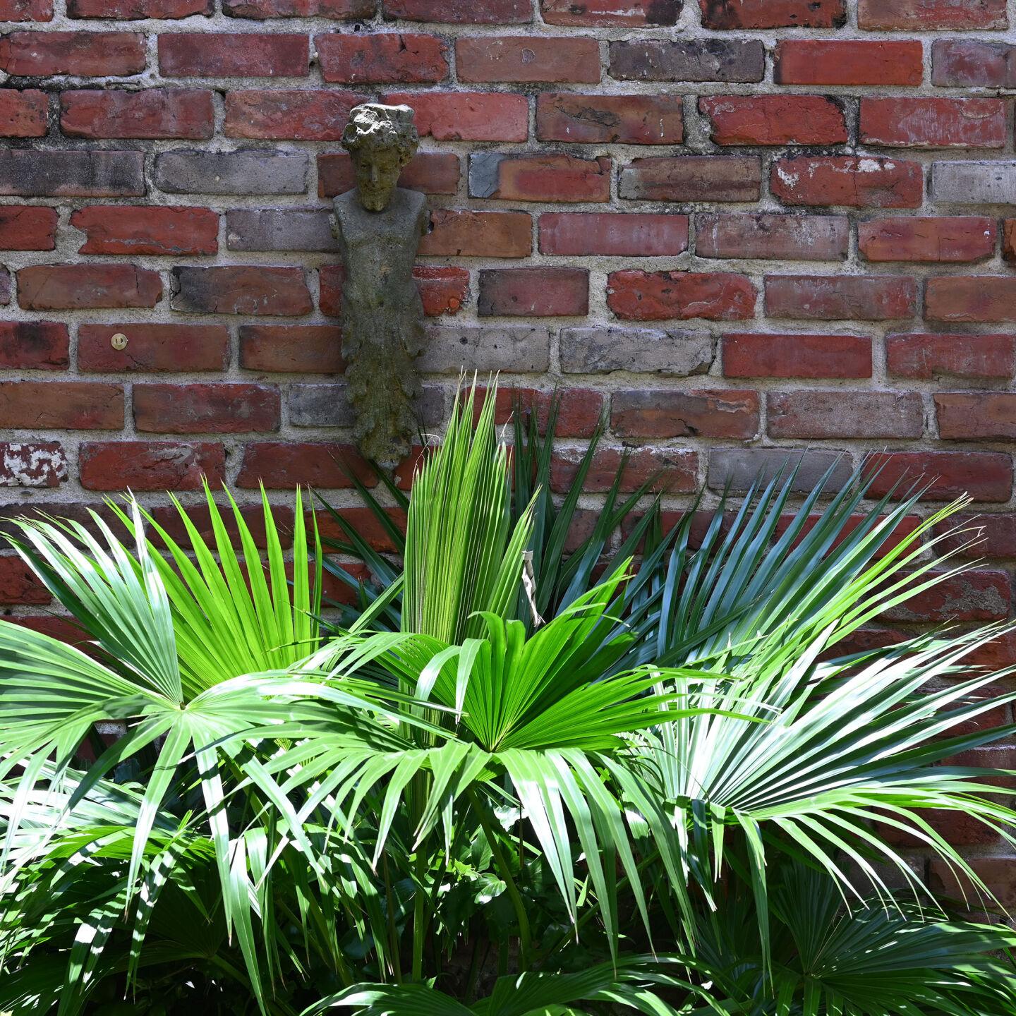 Kill lantana pests but keep butterflies Dan Gill explains Home