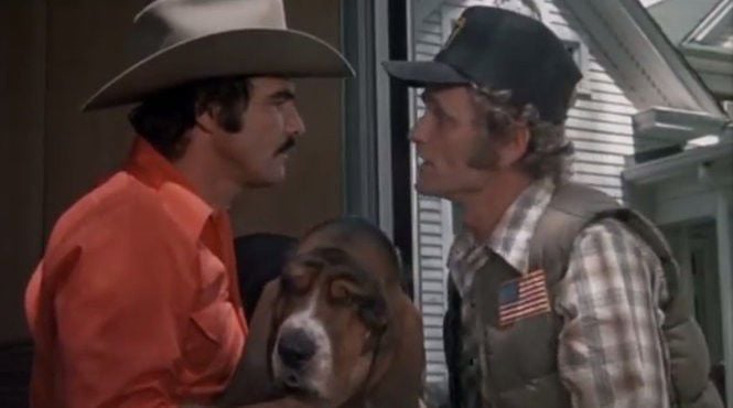 Bj and the bandit