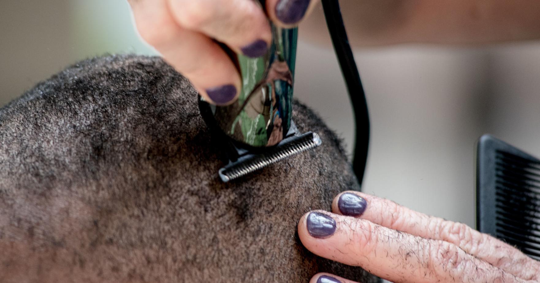 Shave heads for cancer at NOLA Finn McCool St. Baldrick day | Entertainment/Life - Vimarsana News