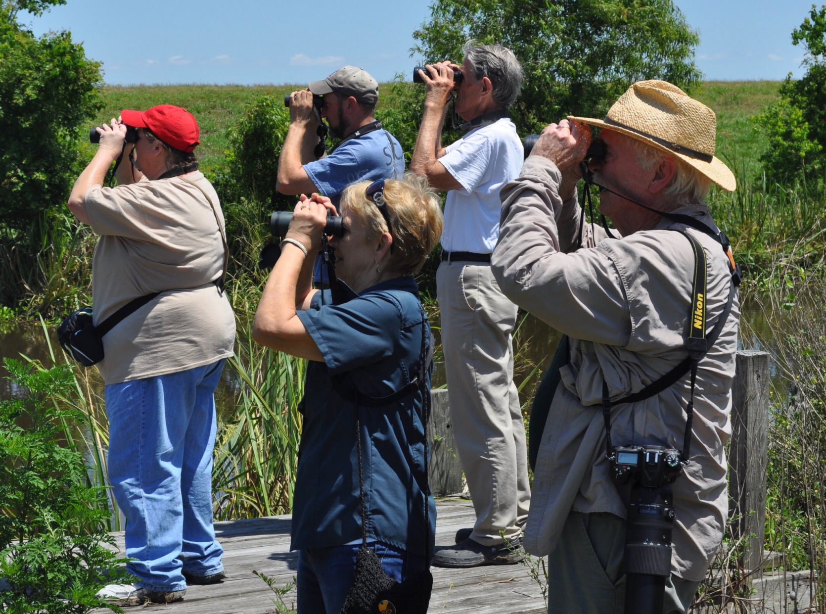 Bird watchers are flocking to Louisiana's fragile coast, but for how long?  | Environment | nola.com