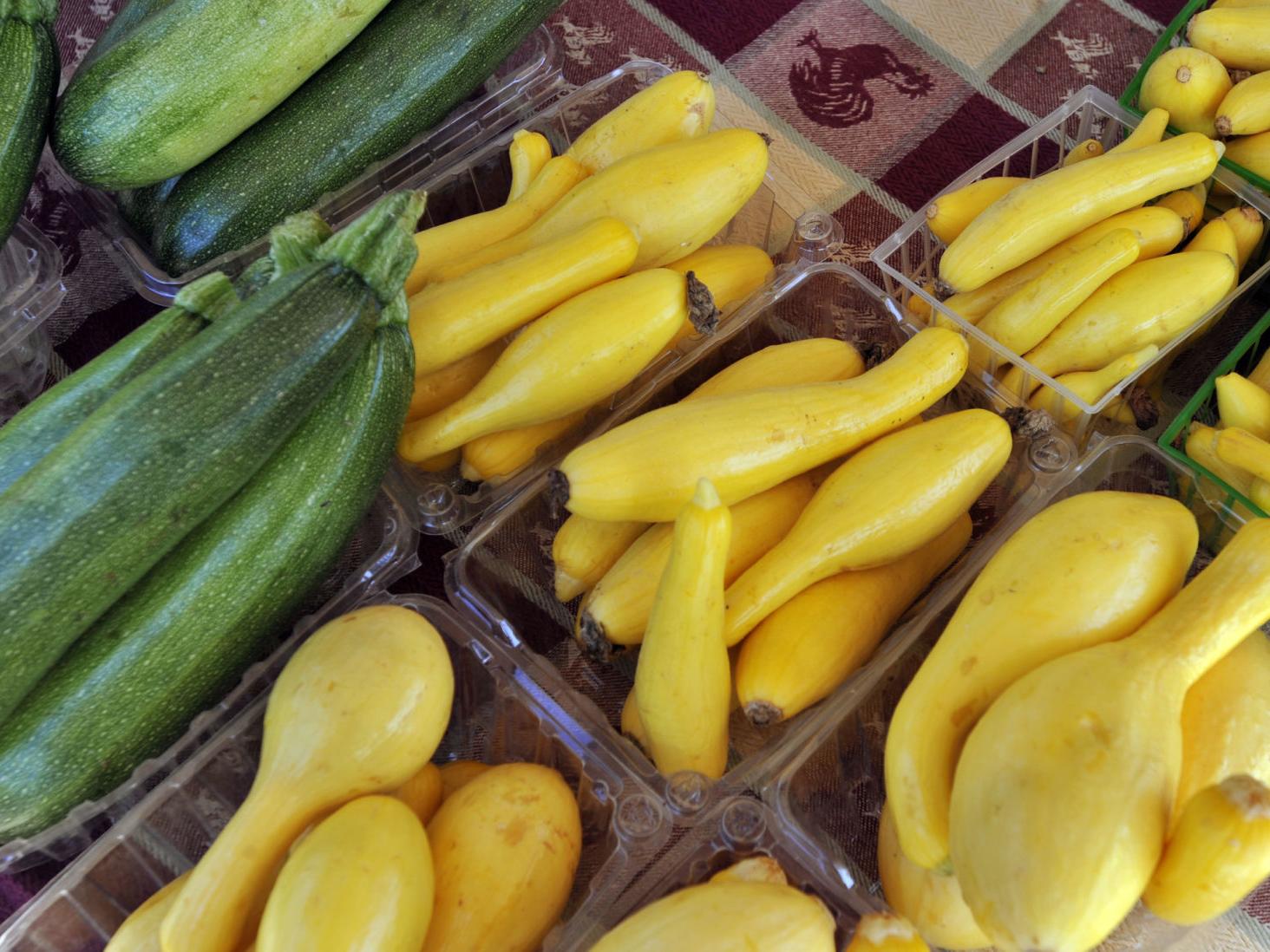 What are cucurbits? Cucumber relatives that taste good and can be planted  now | Home/Garden | nola.com