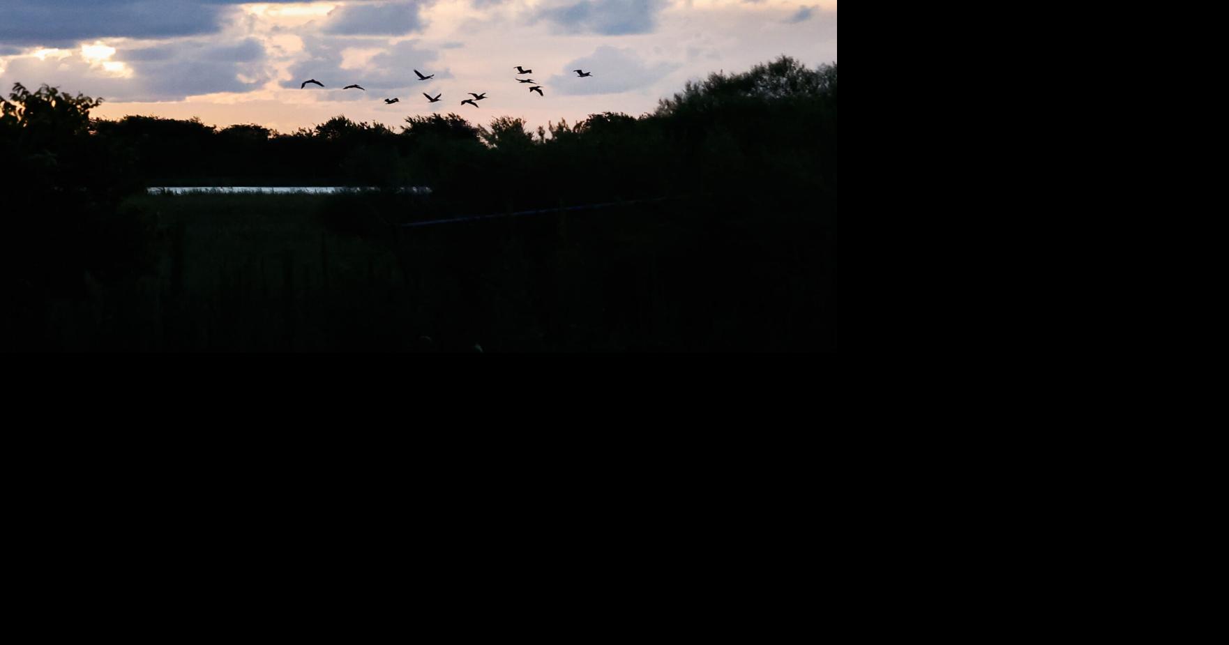 https://bloximages.newyork1.vip.townnews.com/nola.com/content/tncms/assets/v3/editorial/7/02/702431ef-580b-57c4-940d-56dff92e67f0/6a877ec485b61.image.jpg?crop=1762%2C925%2C0%2C124&resize=1200%2C630&order=crop%2Cresize
