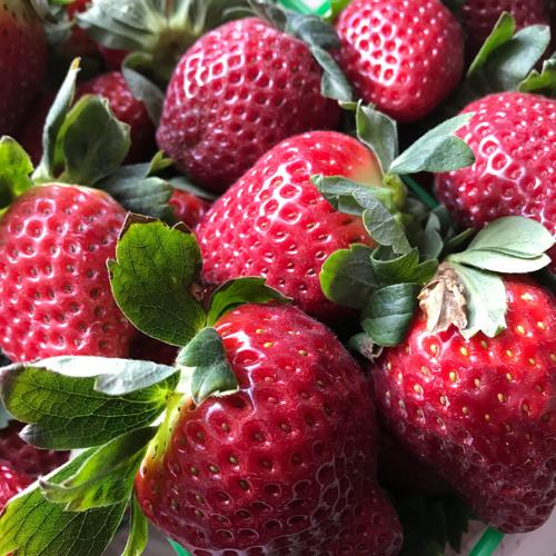 Ponchatoula Strawberry Fest What to do with all that fruit