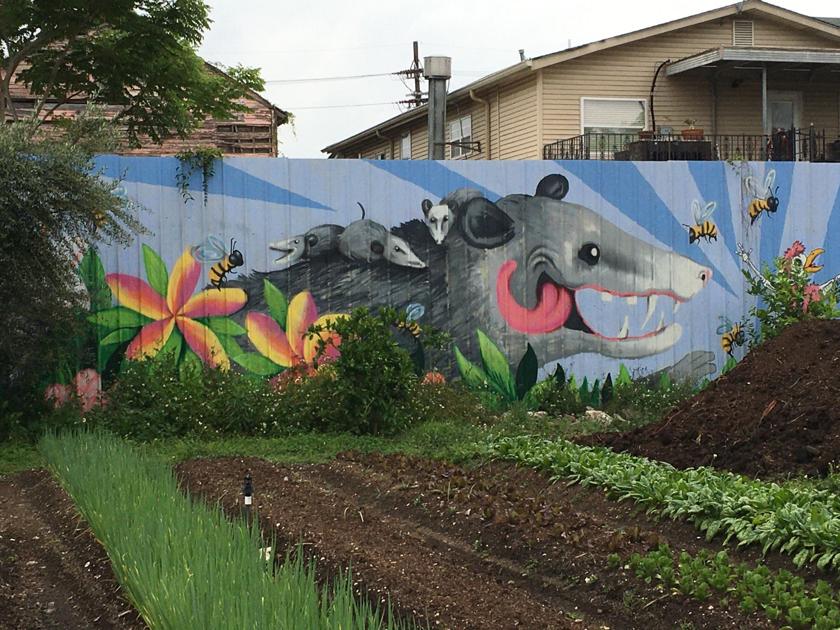 Wall to wall art: Murals across New Orleans — where to ...