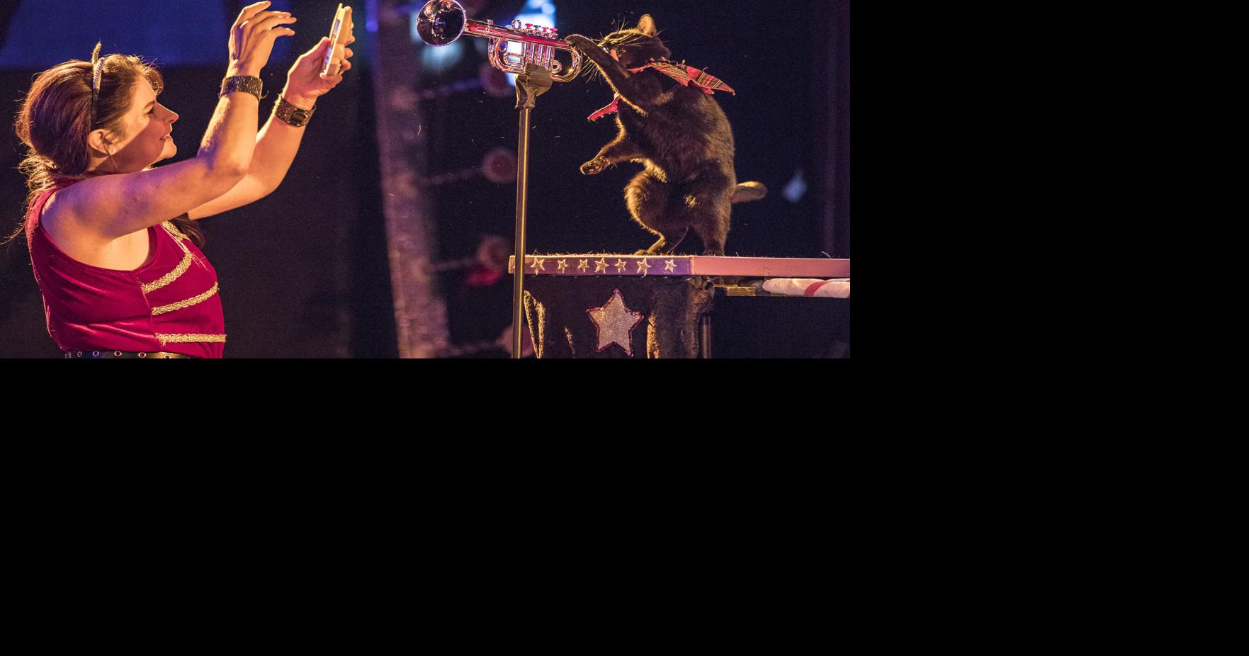 The AcroCats return to New Orleans for a December residency at AllWays Lounge Events