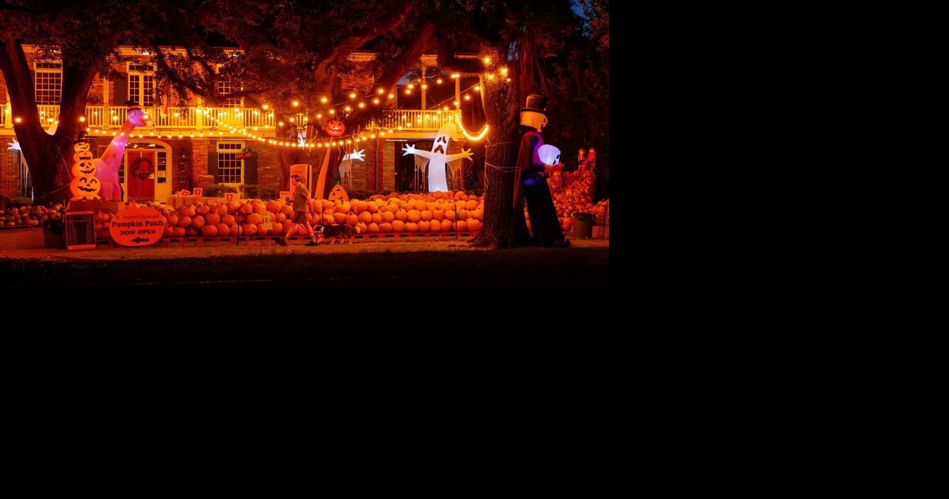 A haunted corn maze in Mississippi and 'Harvest Hues' in Texas: Here are 6 Southern fall events