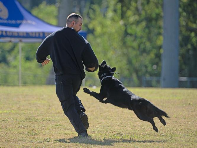 Baton Rouge police K-9 in running for USPCA Top Dog award | Crime ...
