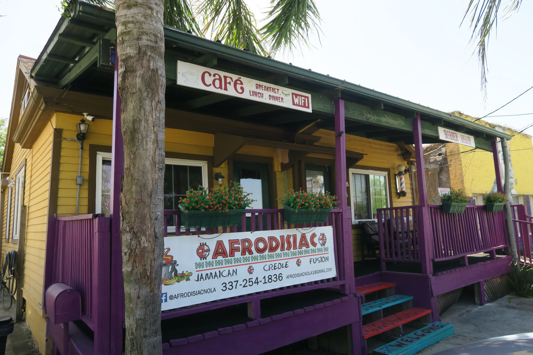 With Creole Caribbean and cocktails Afrodisiac brings vibrant