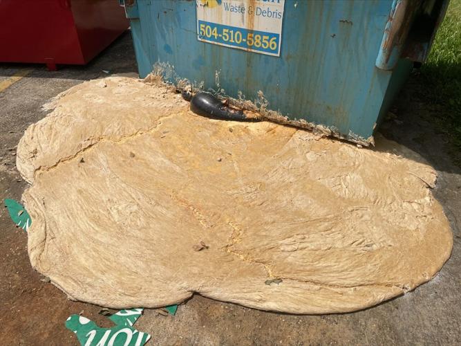 After escape from Covington dumpster, pizza dough blob begins its slow
