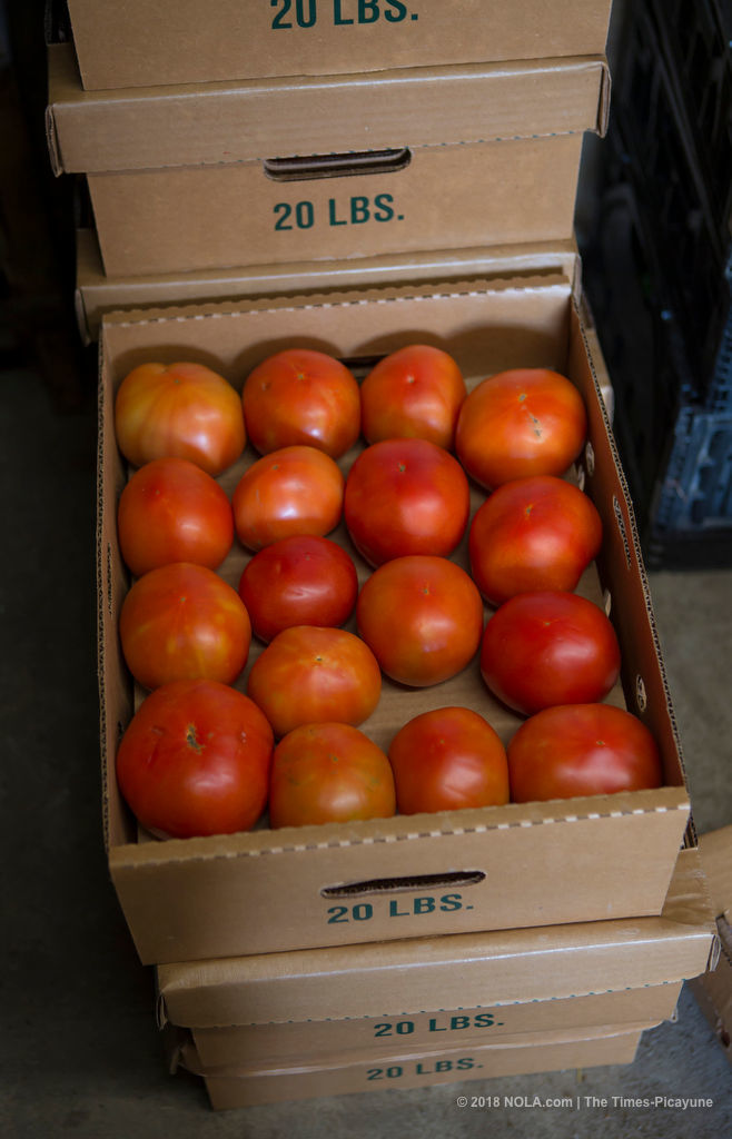 Creole tomato farmer keeps family, South Louisiana tradition alive