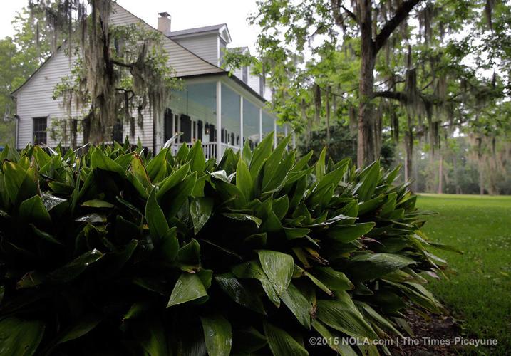 A historic cottage on Bayou is a quiet refuge Home Tour Home