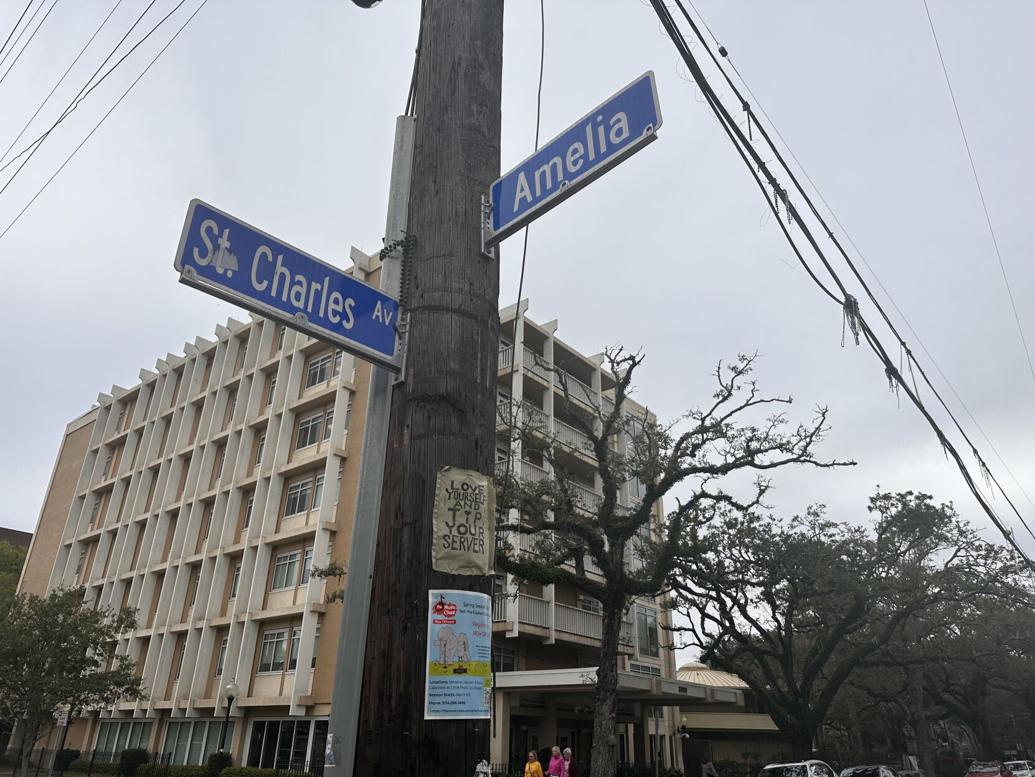 mardi gras amelia street