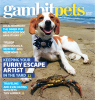 Gambit's Digital Edition: Gambit Pets Summer 2019