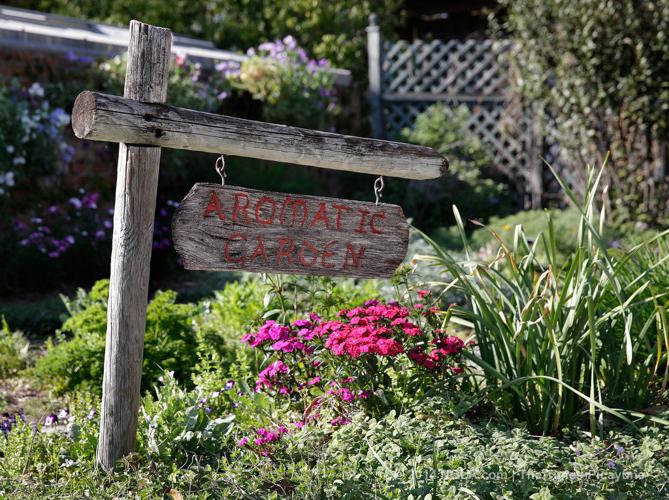 Spring Garden Show to fill the New Orleans Botanical Garden with