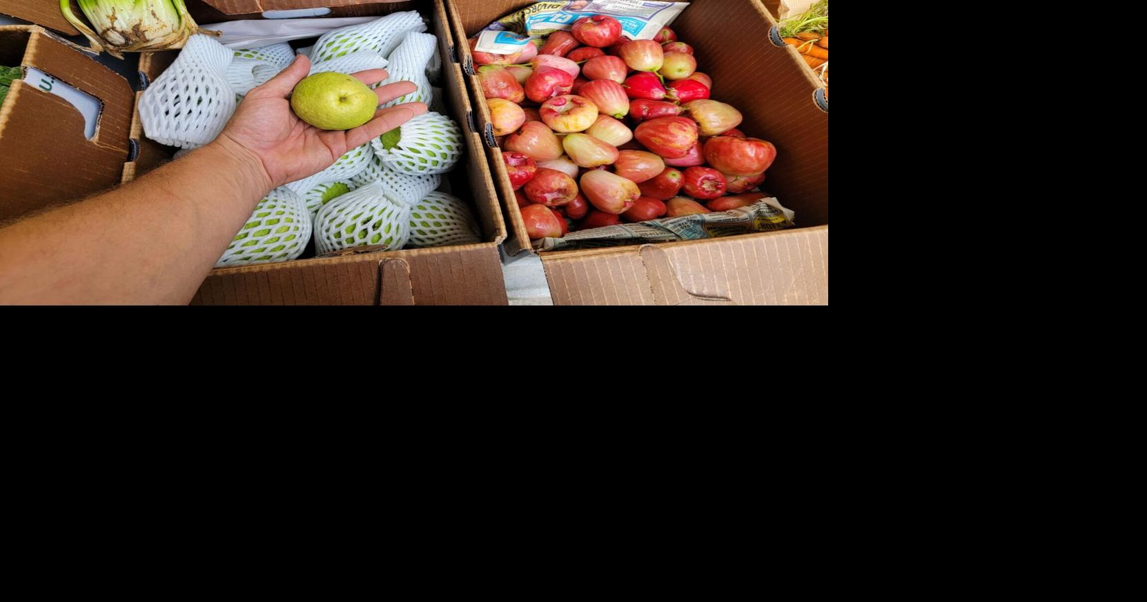 Making every dollar count: Greaux the Good partners with local businesses to expand healthy food access in New Orleans region