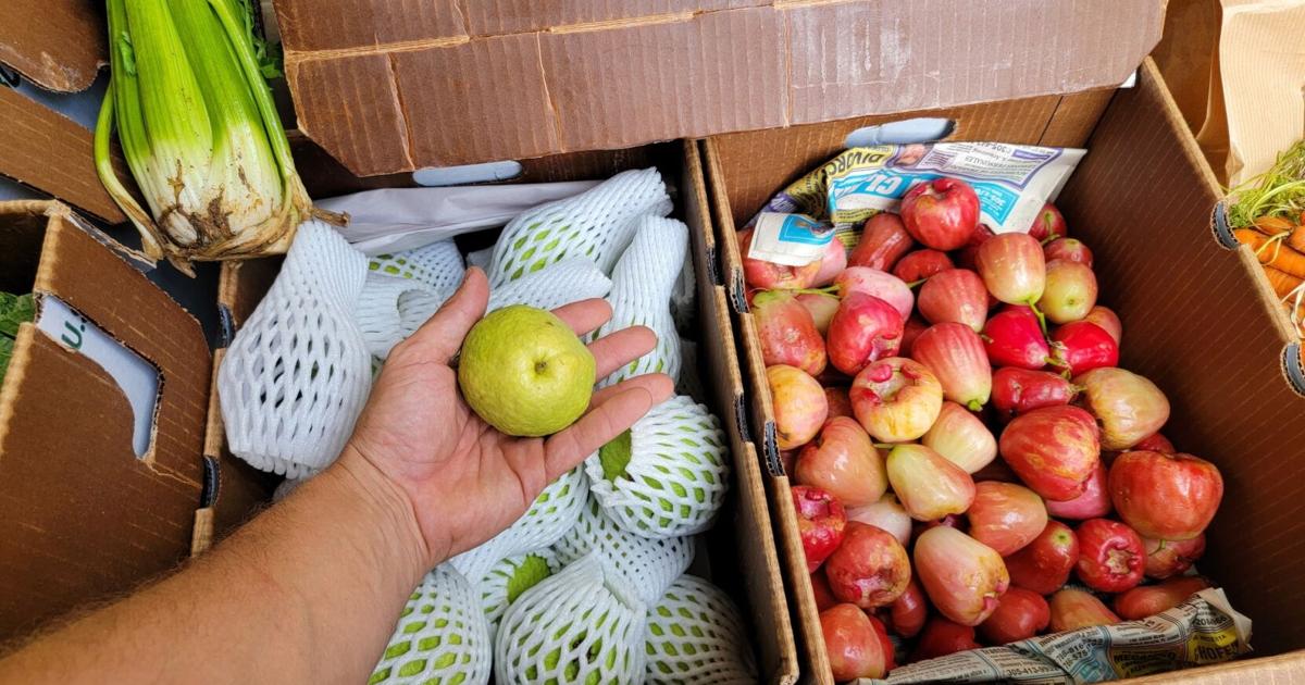 Making every dollar count: Greaux the Good partners with local businesses to expand healthy food access in New Orleans region