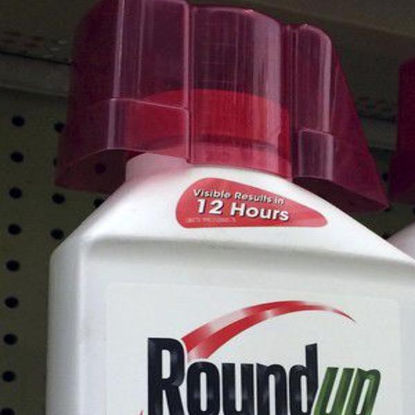 Is The Weed Killer Glyphosate Safe To Use Research Says Yes Home Garden Nola Com