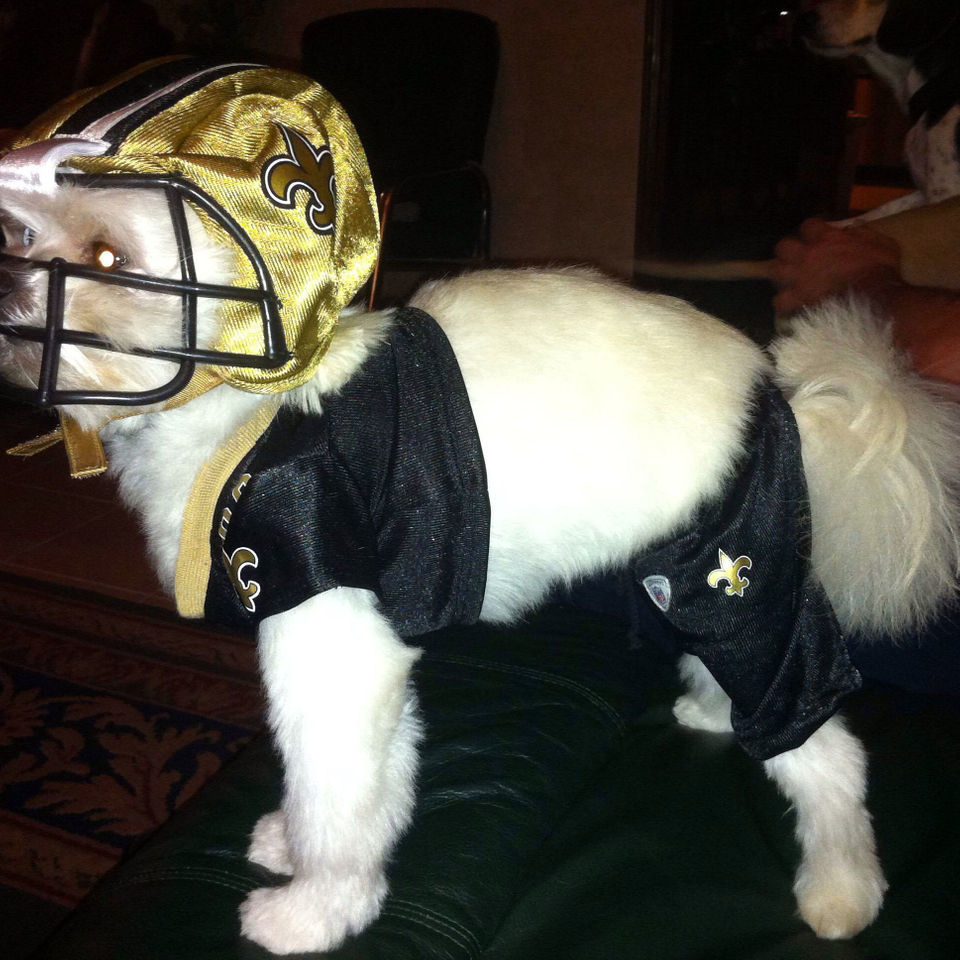 New Orleans Saints Dog Jersey