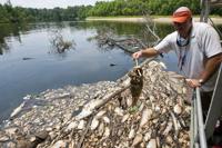 Fish kill