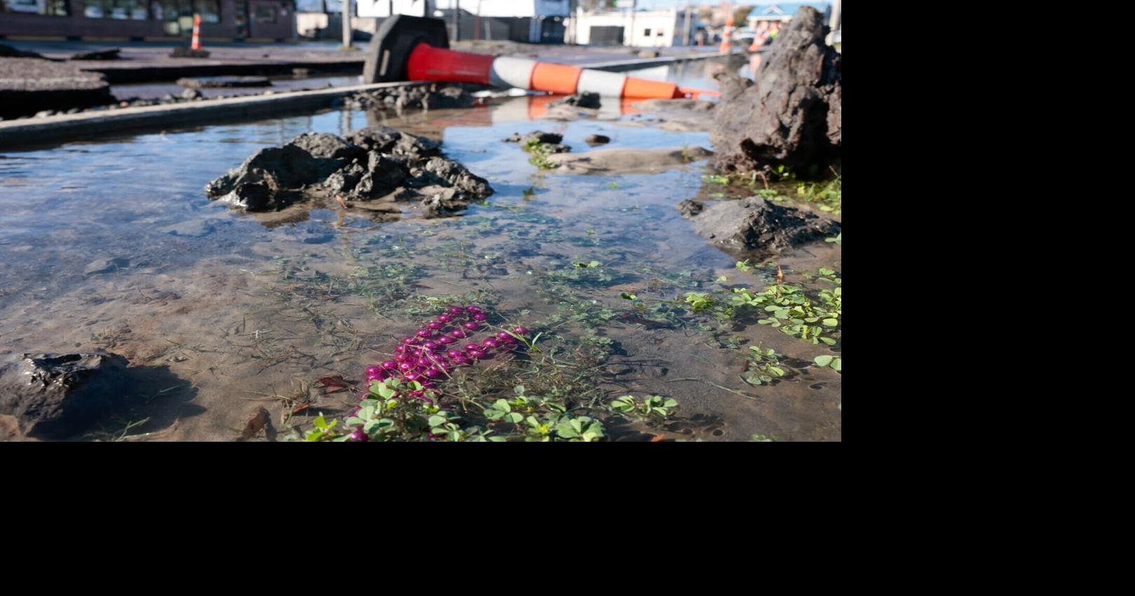 Boil water advisories lifted for New Orleans neighborhoods after water main break, officials say