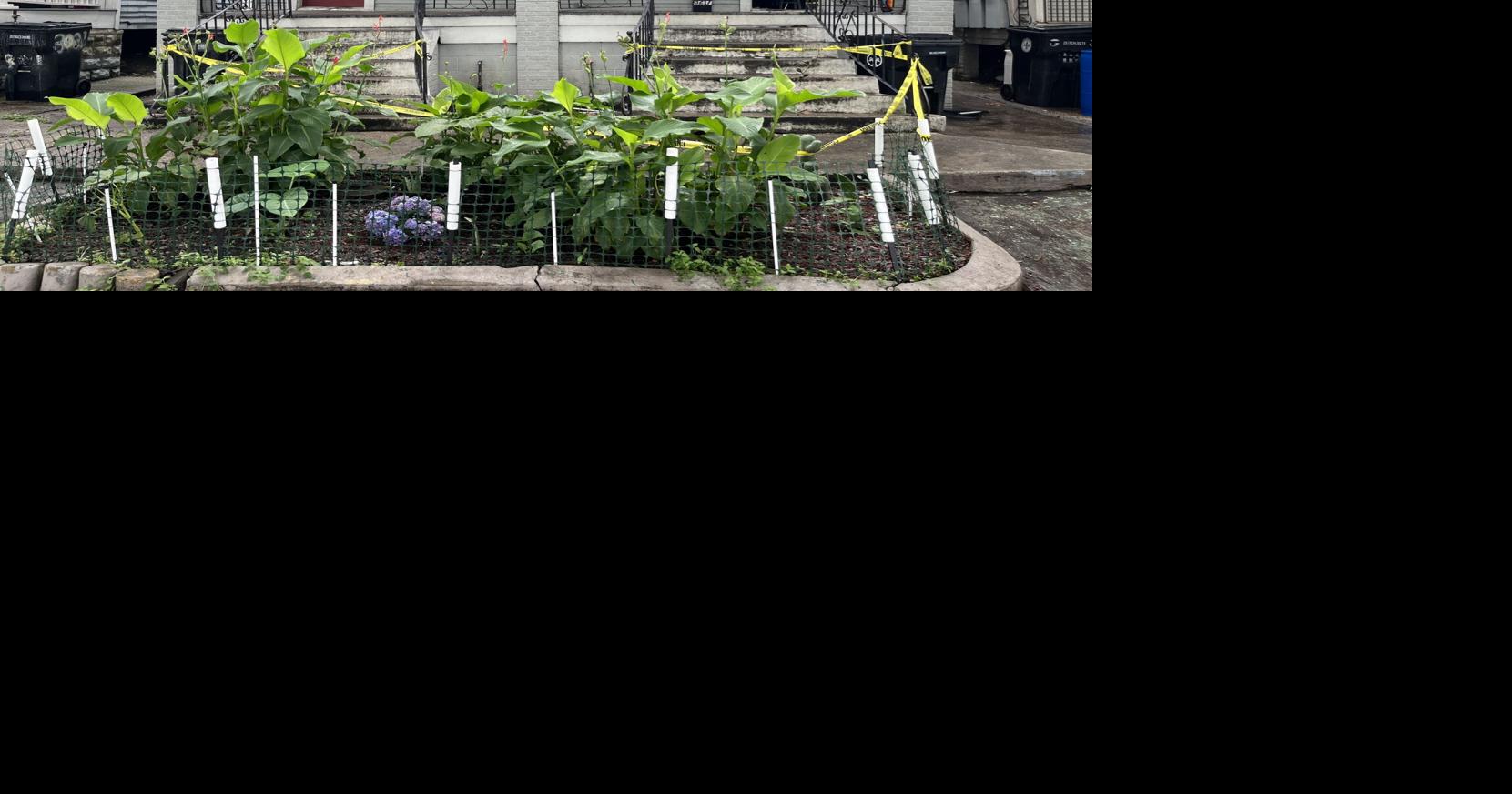 Tension brewed over a blighted Mid-City house. Then, gunfire and a Tulane psychiatrist's arrest.