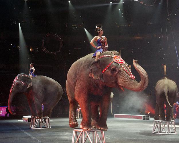 Ringling Bros. and Barnum & Bailey Circus returns to New Orleans with