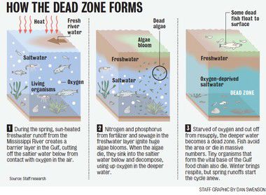 What is a dead zone?