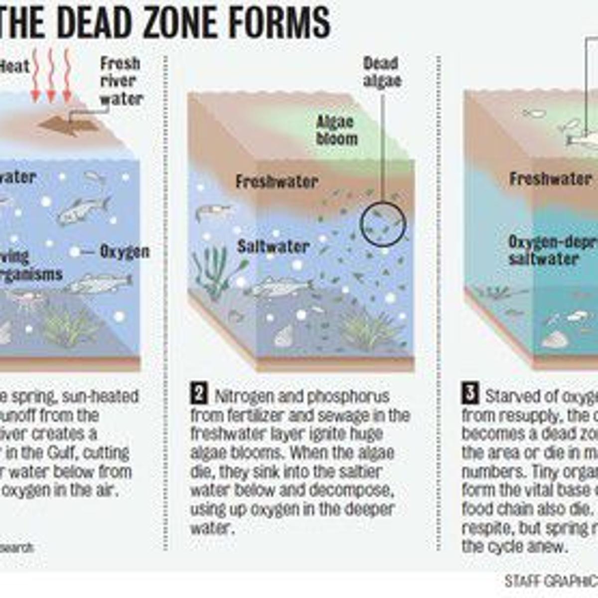 anmodning i live tempereret 2017 Gulf dead zone is largest ever, size of New Jersey, researchers say |  Environment | nola.com