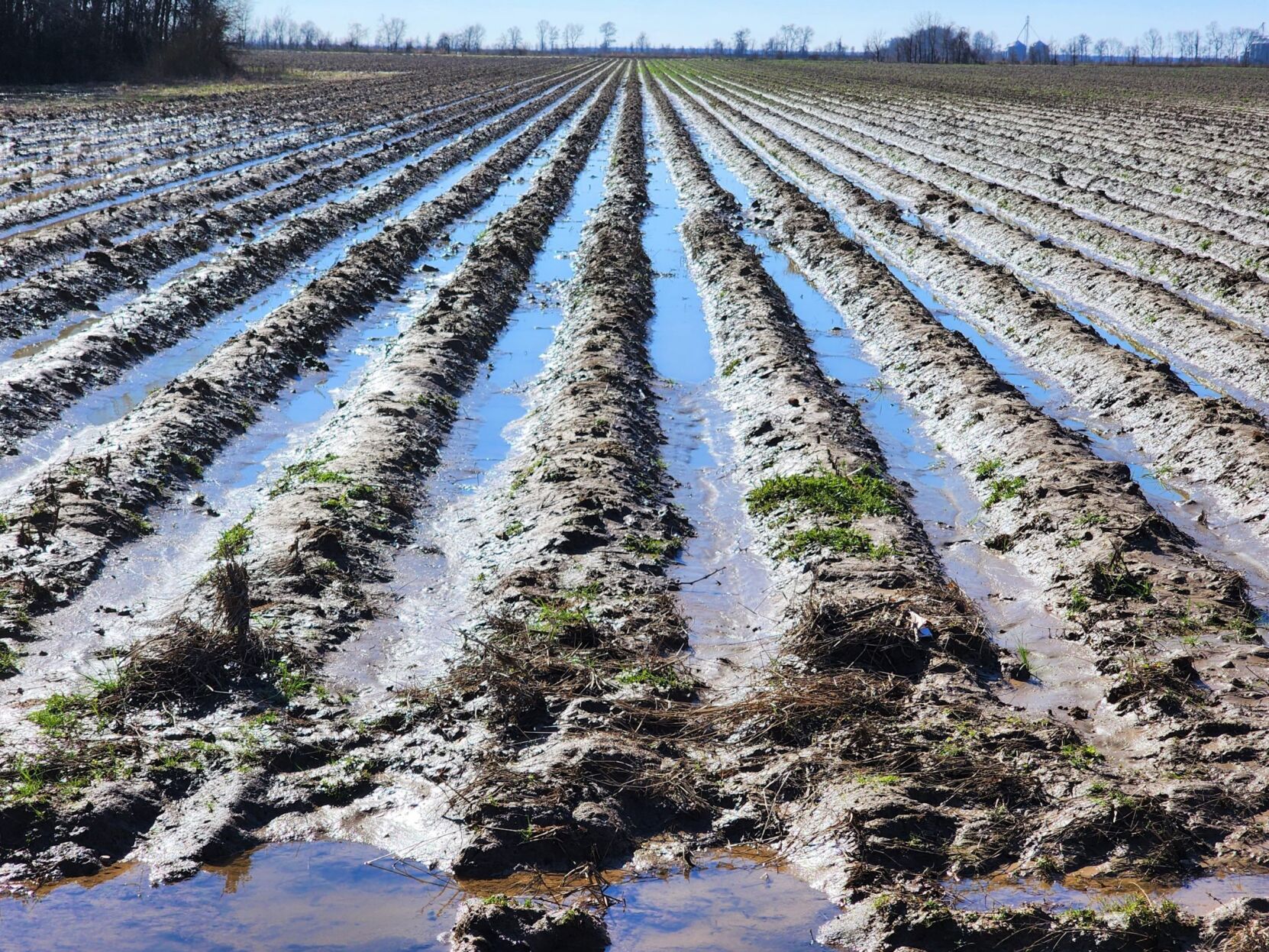 Run Off Farm Grant to cut farm nutrient runoff aimed at Gulf dead zone | Environment ...