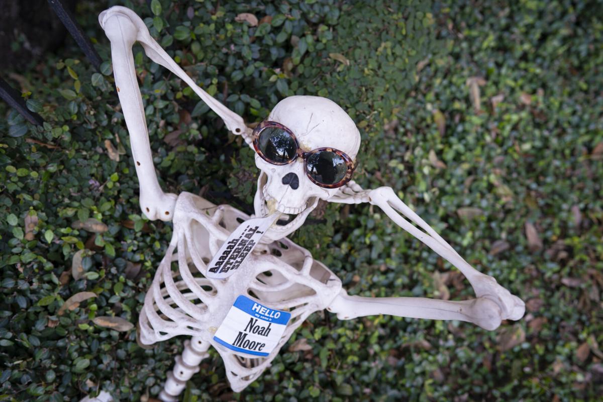 Uptown New Orleans Skeleton Display Mostly Taking Year Off To Discourage Coronavirus Crowds Louisiana Festivals Nola Com It is typically made out of hard, rigid tissue that supports the form of the animal's body and protects vulnerable organs. uptown new orleans skeleton display