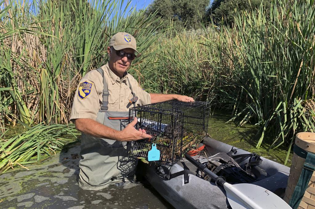 Animal Traps  Merced County, CA - Official Website