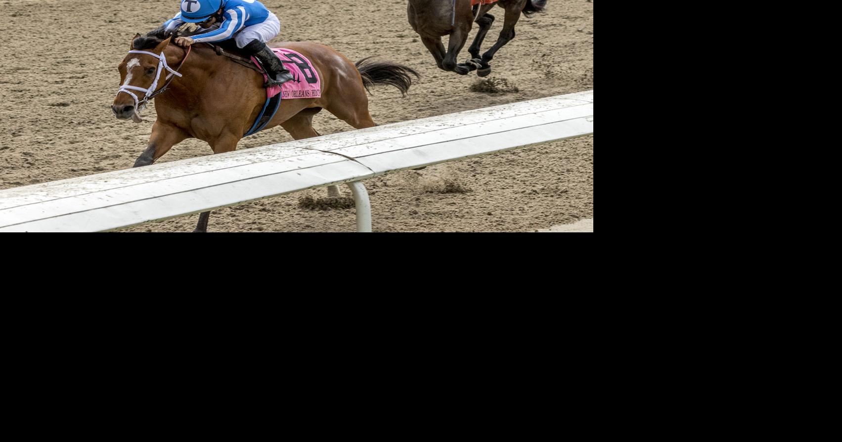 Another Derby-day win for By My Standards; Tom Amoss feels ‘great ...