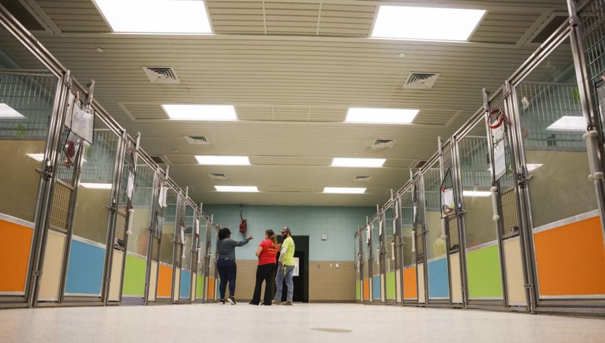 New East Bank animal shelter coming soon Jefferson Parish