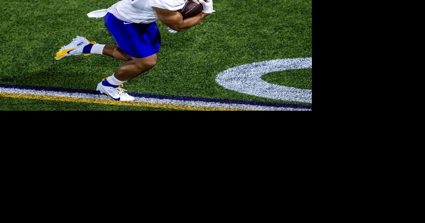 LSU has eight running backs, how will it use them? LSU