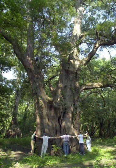 Cat Island National Wildlife Refuge management to be discussed at