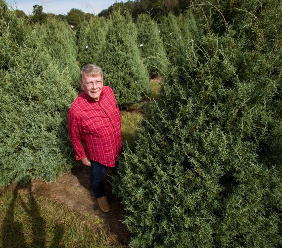 Northshore Christmas tree farmer dies on Christmas Eve One Tammany