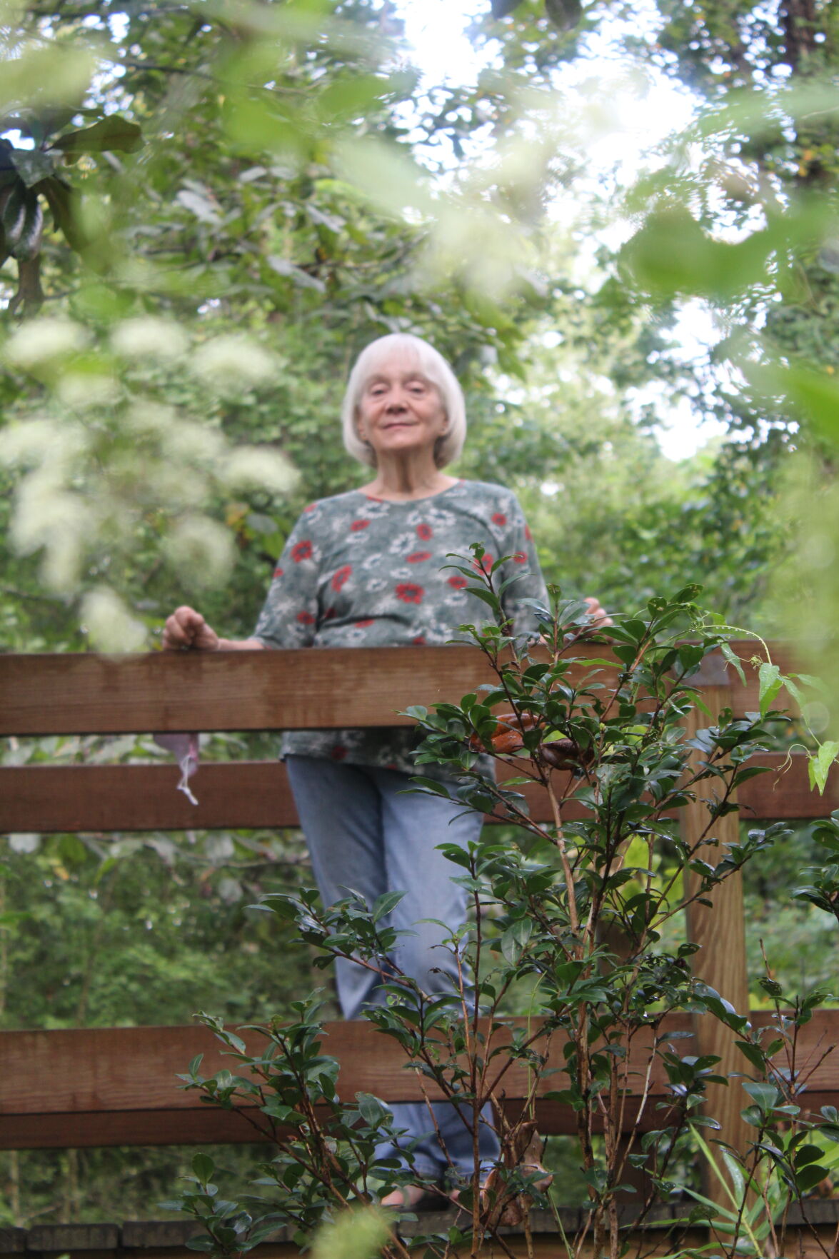 outdoor center covington la on The Covington Homeplace Of Naturalist Charlotte Seidenberg Gets Another One For The Wall St Tammany Community News Nola Com