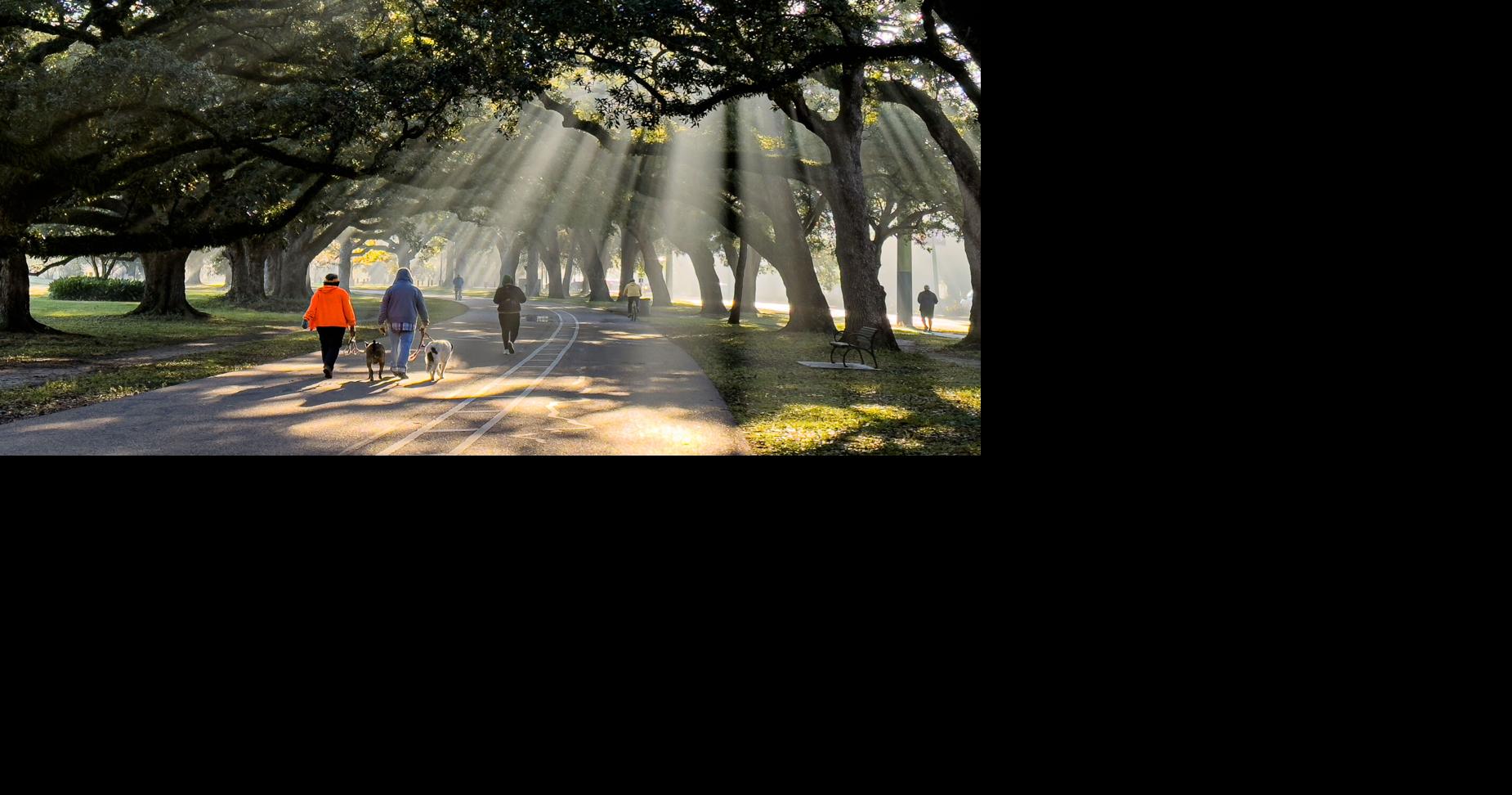 New Orleans activates freeze plan as cold front brings lowest temperatures of the season