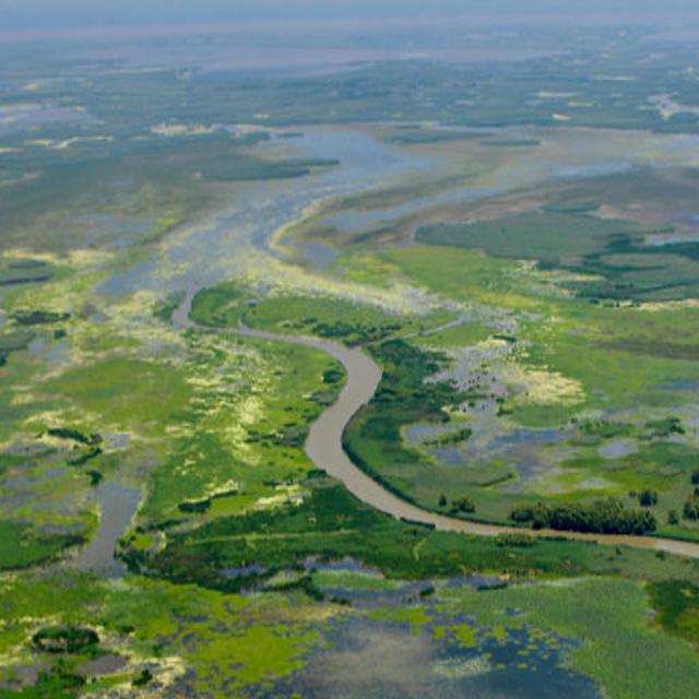 Things To Do If You Re Visiting New Orleans For The Ecology