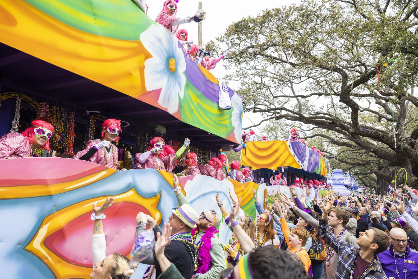 These allwomen krewes paved the way for women in Mardi Gras Mardi