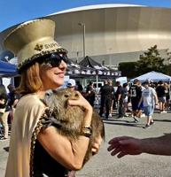 Neuty the nutria to appear at Rougarou Fest, goes Saints tailgating, and other rescue rodent news