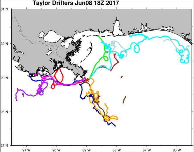 Surface drifter set. (A) Trajectories of 30 drifters released in the