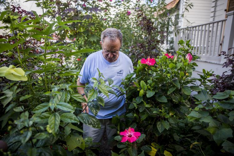 Anything grows Uptown gardener always ready to branch out with new