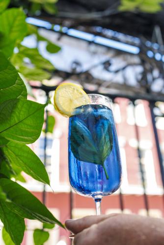New Orleans witch restaurant, bar Tatlo reopens in 2026 | Where NOLA ...
