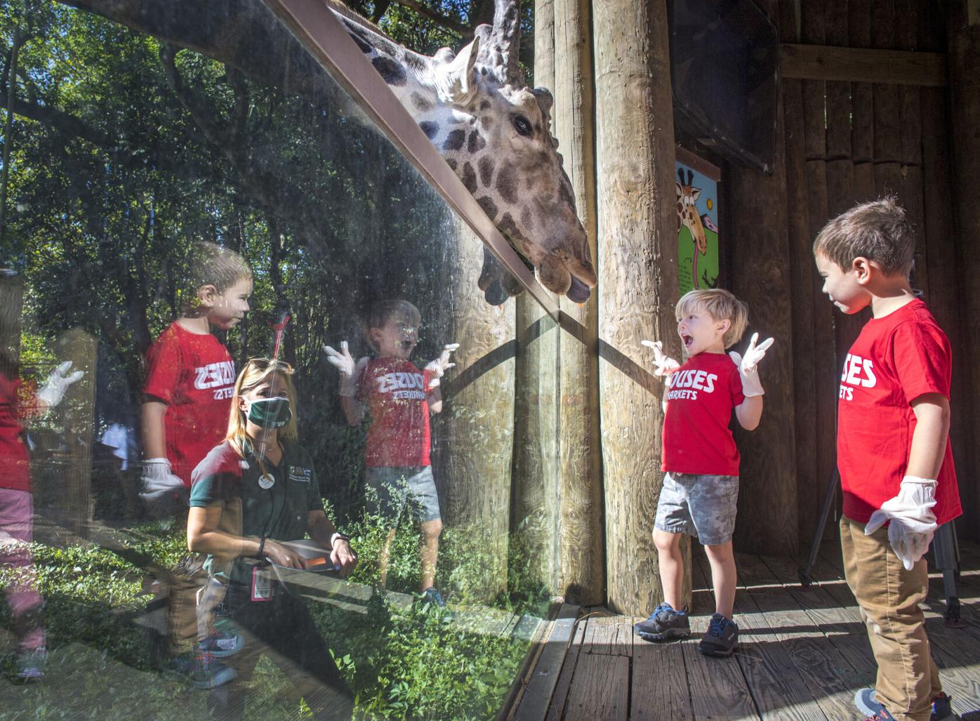 4 ways to get free tickets to Audubon Zoo, aquarium in New Orleans |  Entertainment/Life | nola.com, image size:1396x1027