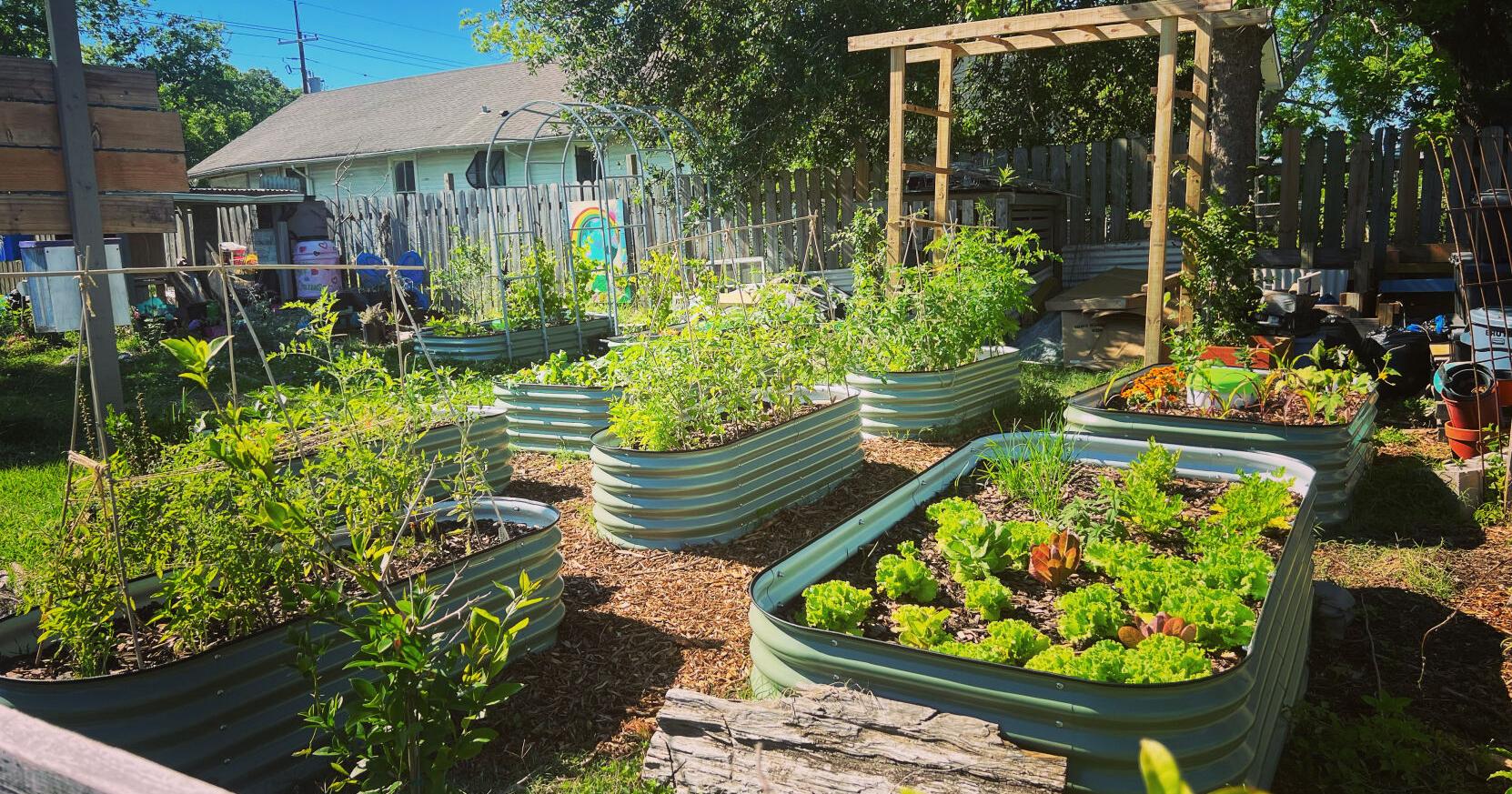 How to reduce food waste in Louisiana | Louisiana Inspired - Vimarsana News