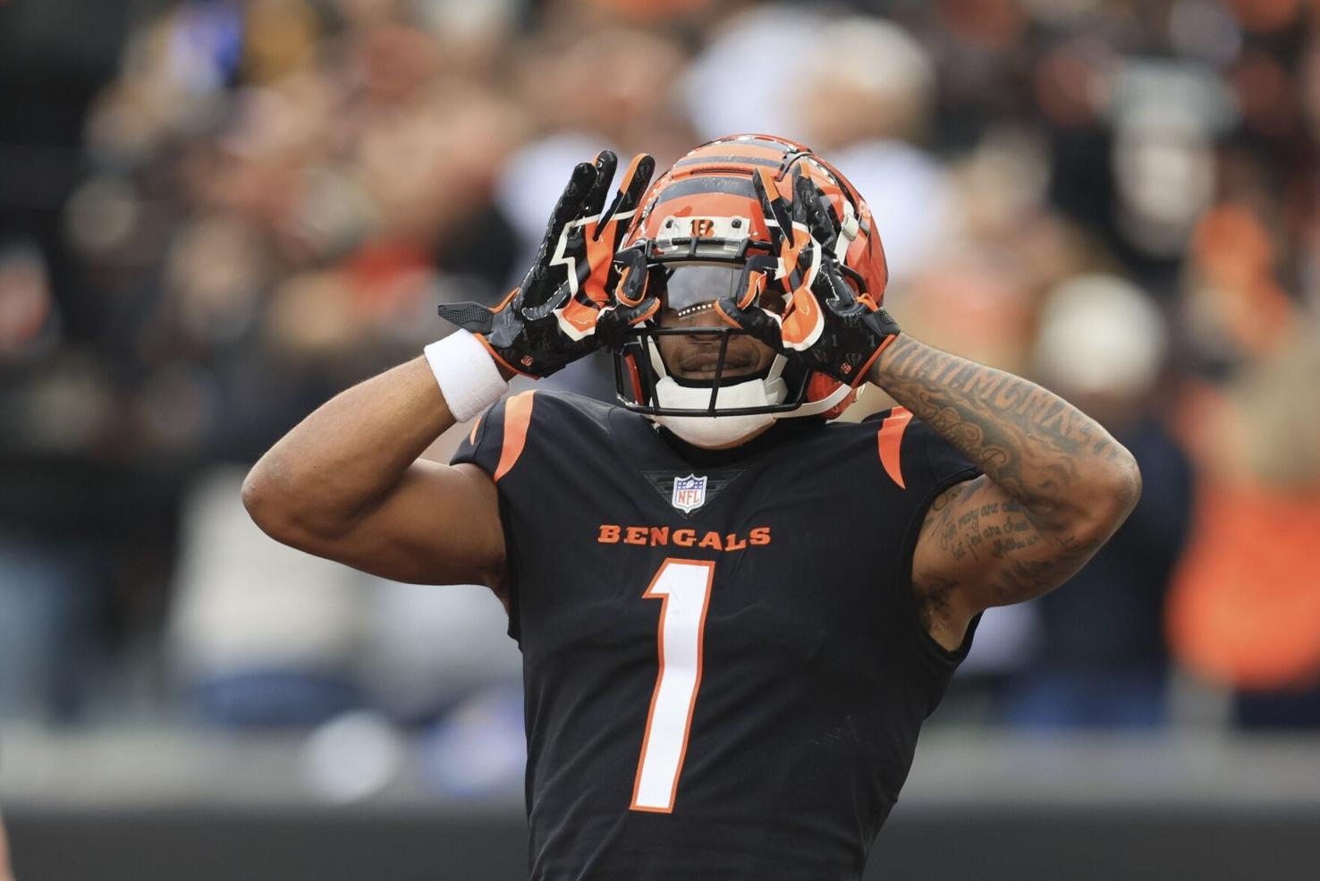 NFL Survivor Pool Picks, Strategy Week 15 Trust the Bengals Sports