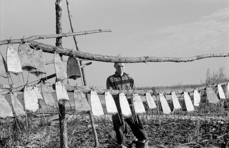 1778 The Islenos arrive in Louisiana 300 for 300